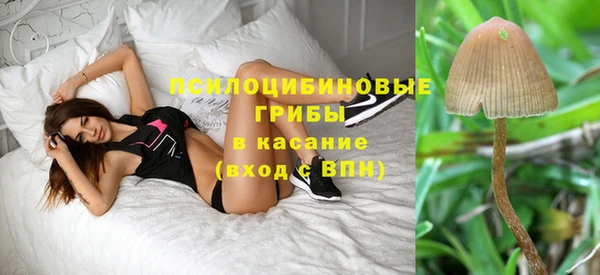 apvp Алексеевка
