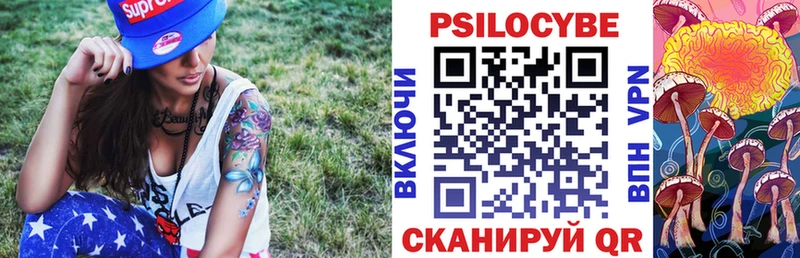 Галлюциногенные грибы Psilocybine cubensis  Цивильск 